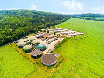Bild 1 - © Green Line Commodities GmbH